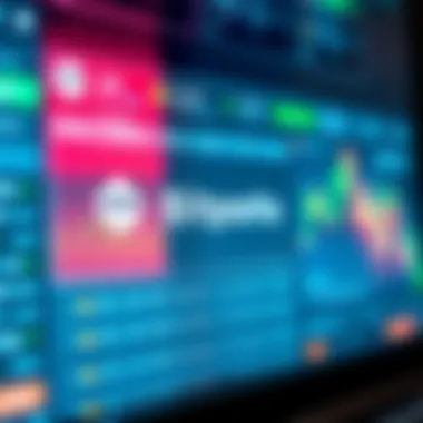 User interface of Bitpanda and its usability