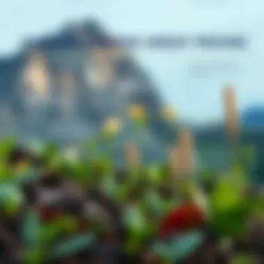 Infographic detailing factors influencing carbon credit pricing