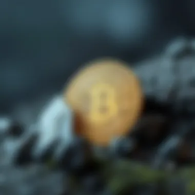 Comparison of key players in the global cryptocurrency landscape