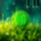 Conceptual representation of grasscoin's technology