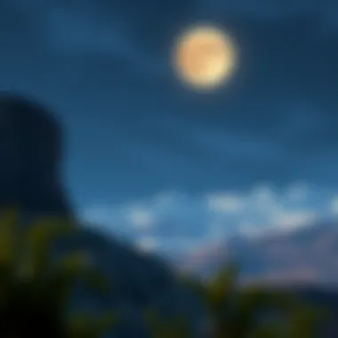 Competitive landscape of Luna in the crypto market