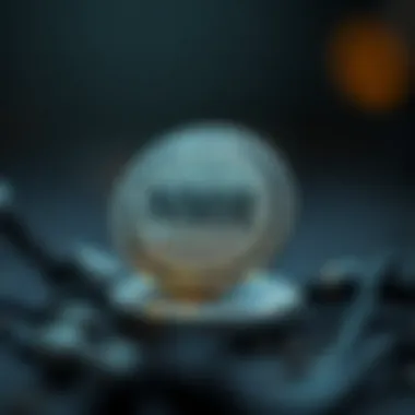 Risks Associated with NMR Coin