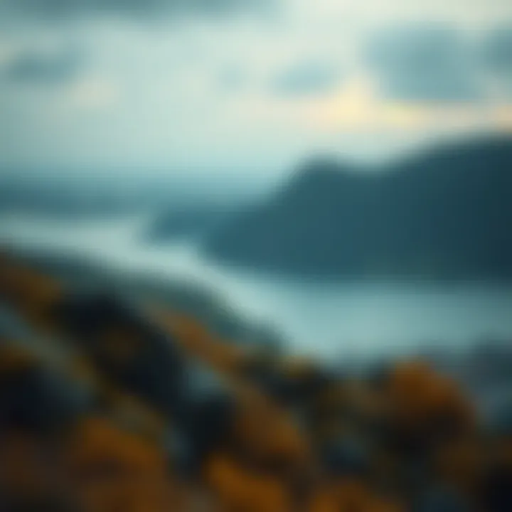 온체인 데이터의 심층 분석 Summary 온체인 데이터의 심층 분석 Summary