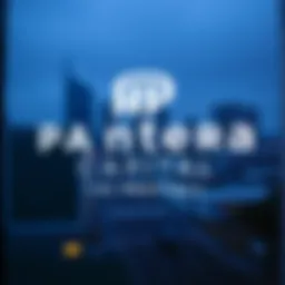 Pantera Capital logo and branding