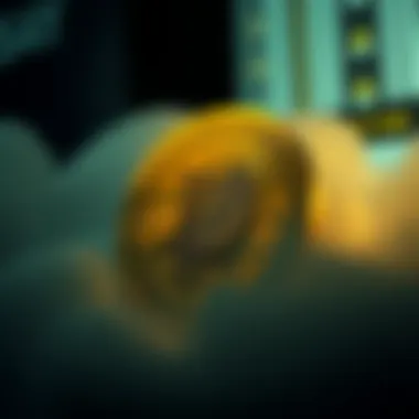 An overview of SAY Coin's ecosystem and its functionalities.