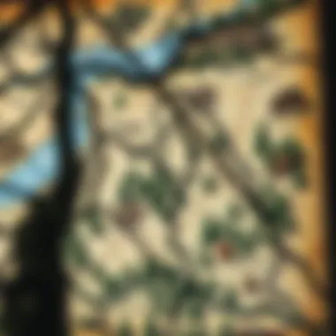 A historical map depicting Sherwood Forest