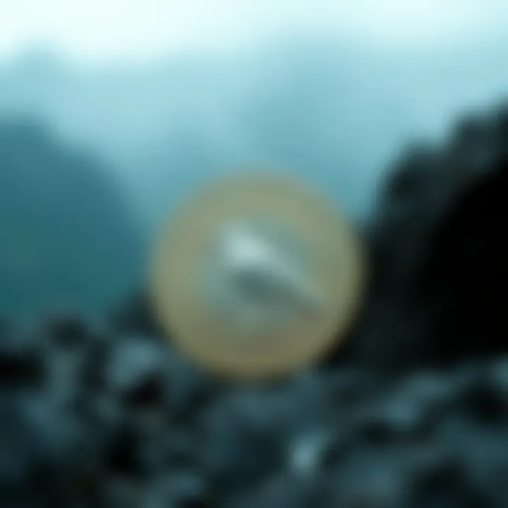 Current trends in cryptocurrency including Songbird Coin