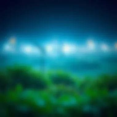 Visual representation of sustainable practices related to carbon credits