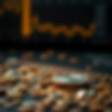 Detailed view of XRP blockchain transactions