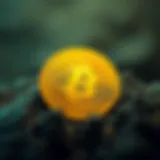 ZBC Coin Overview and Features